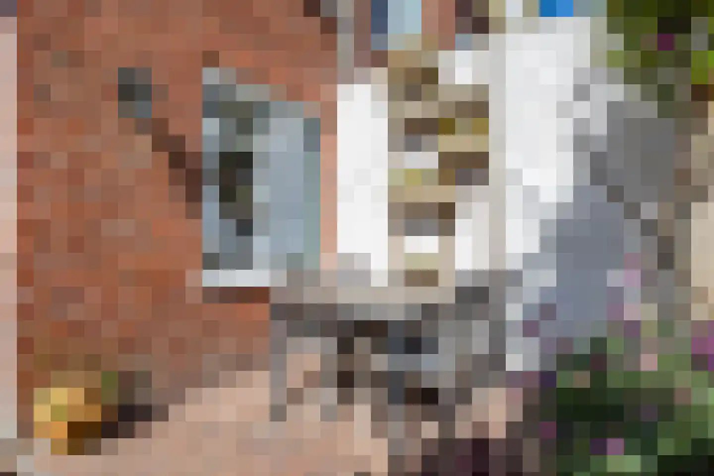 Gerbrand Bakkerstraat 19 a Groningen thumbnail 38