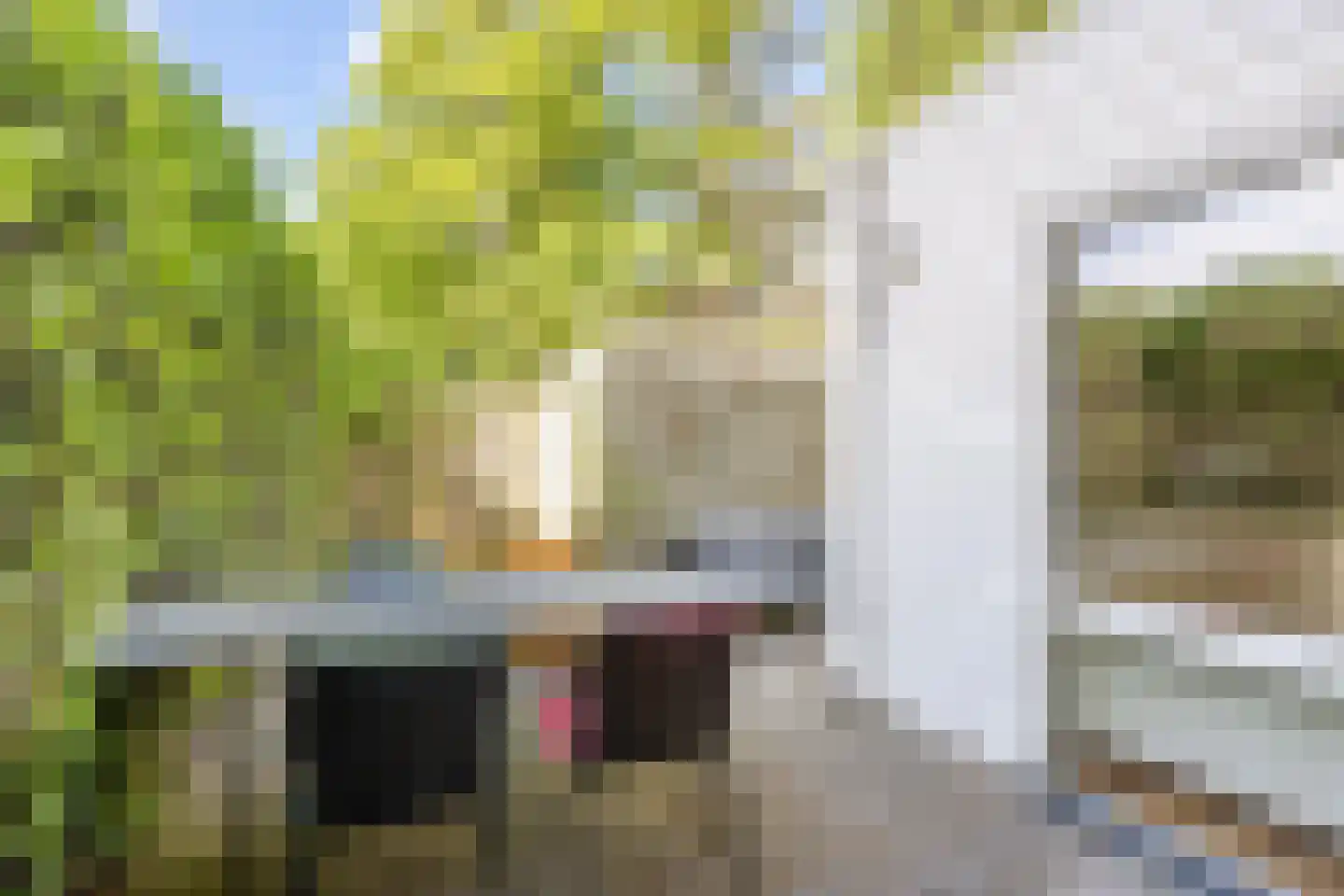 Gerbrand Bakkerstraat 20 Groningen thumbnail 38
