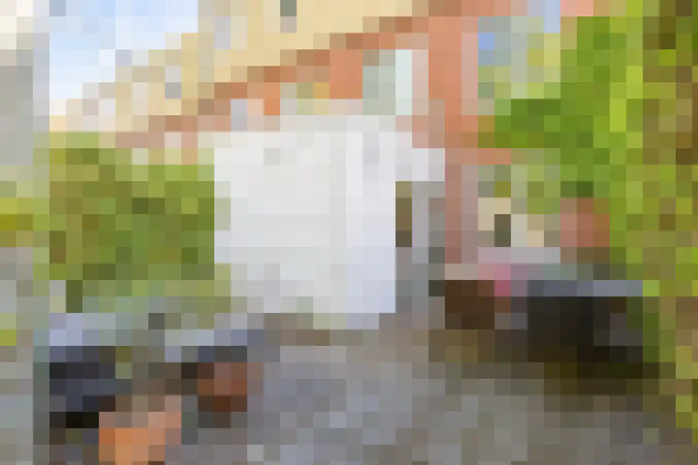 Gerbrand Bakkerstraat 20 Groningen thumbnail 41