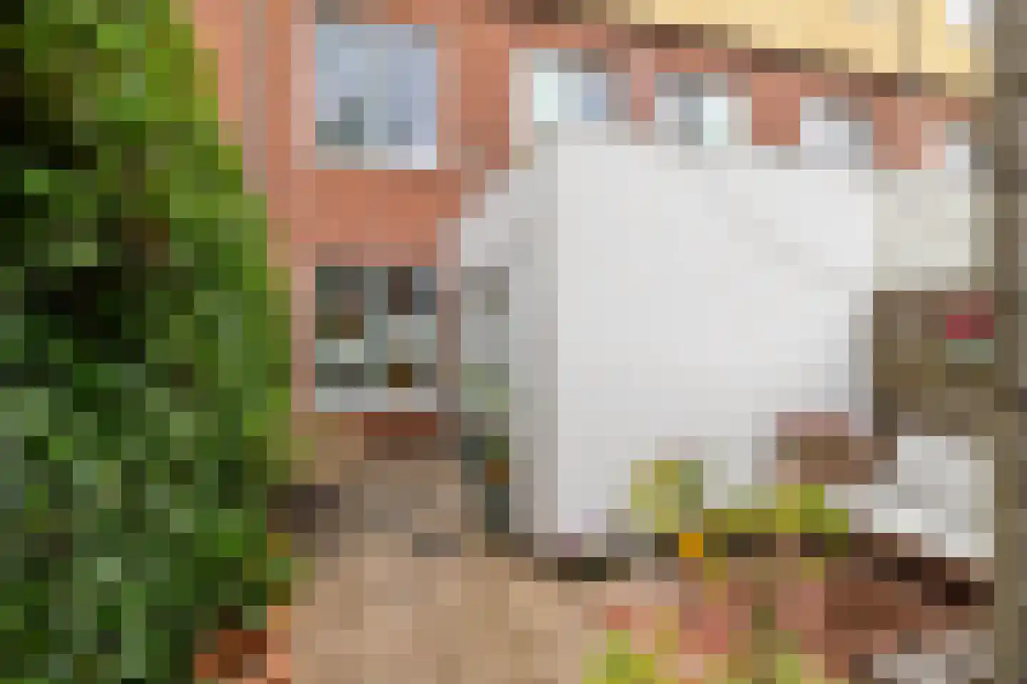 Gerbrand Bakkerstraat 21 a Groningen thumbnail 4
