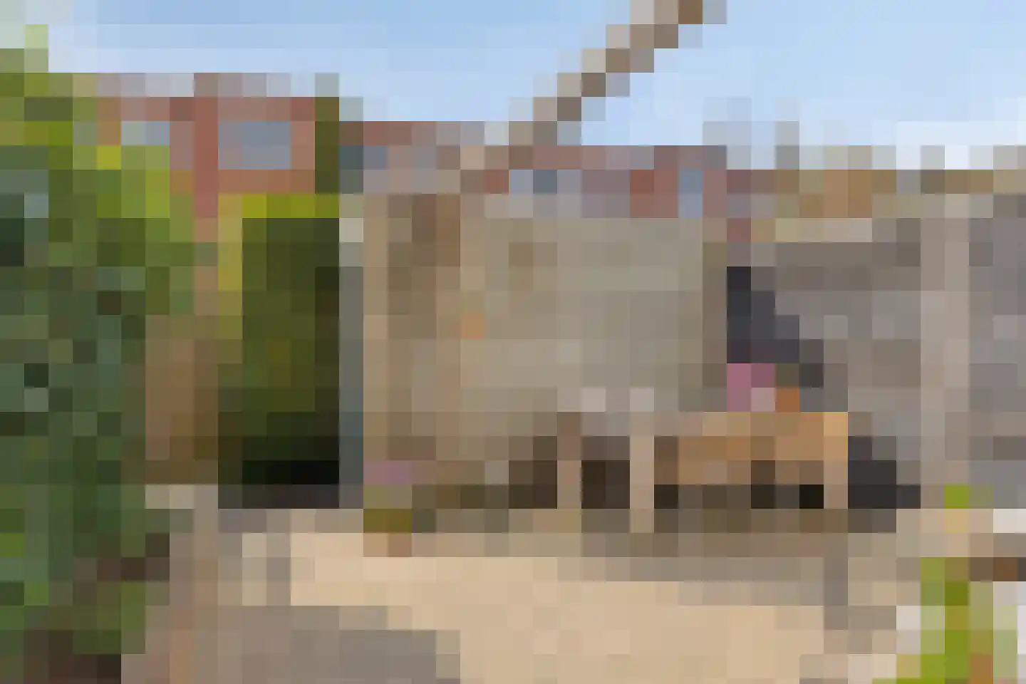 Gerbrand Bakkerstraat 42 a Groningen thumbnail 4