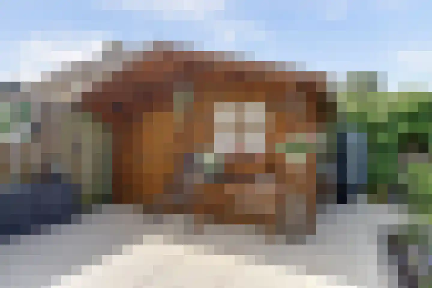 Gerbrand Katstraat 6 Purmerland thumbnail 24