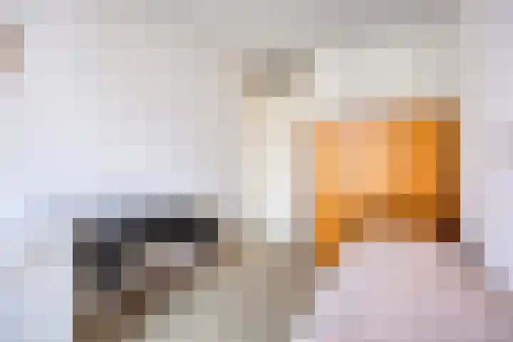 Gerbrand Swartlaan 7 Woubrugge thumbnail 27