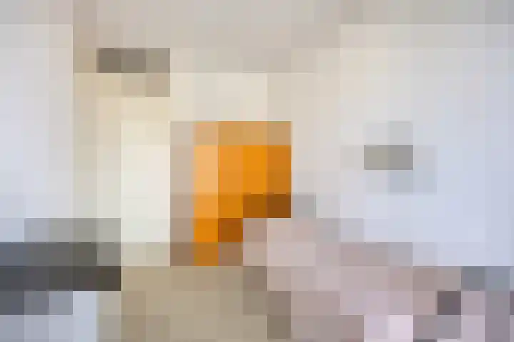 Gerbrand Swartlaan 7 Woubrugge thumbnail 28