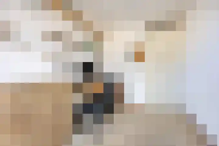 Gerbrand Swartlaan 7 Woubrugge thumbnail 30