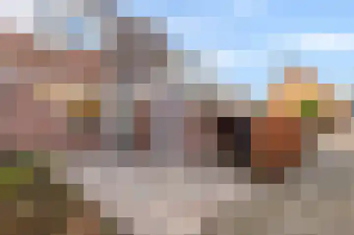 Gerbrand Swartlaan 72 Woubrugge thumbnail 4
