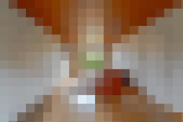 Gerbrandijlaan 29 Middelburg thumbnail 10
