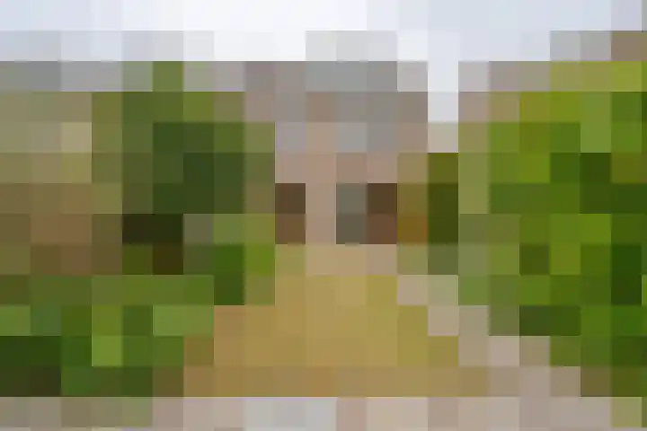 Gerbrandijlaan 29 Middelburg thumbnail 18