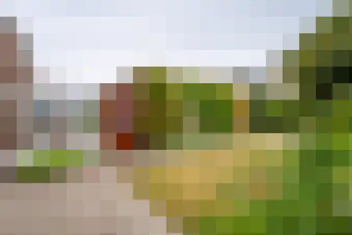 Gerbrandijlaan 29 Middelburg thumbnail 20