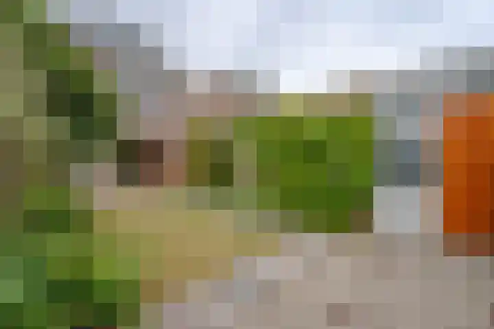 Gerbrandijlaan 29 Middelburg thumbnail 21