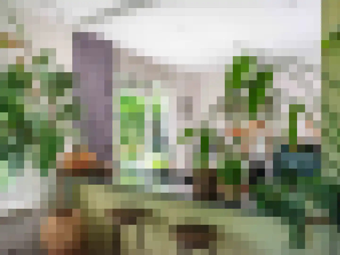 Gerbrandtslaan 15 Schoorl thumbnail 10