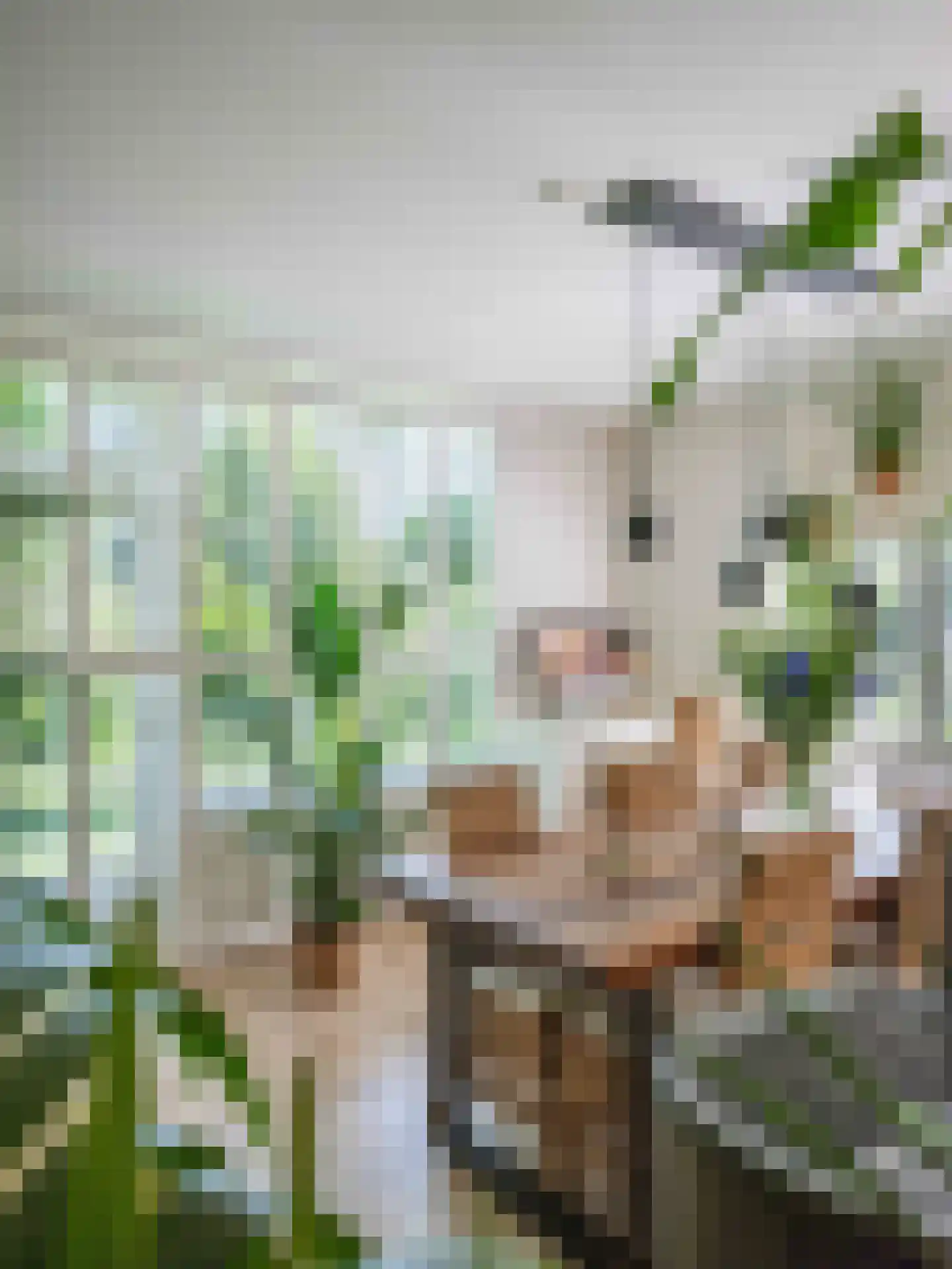 Gerbrandtslaan 15 Schoorl thumbnail 17