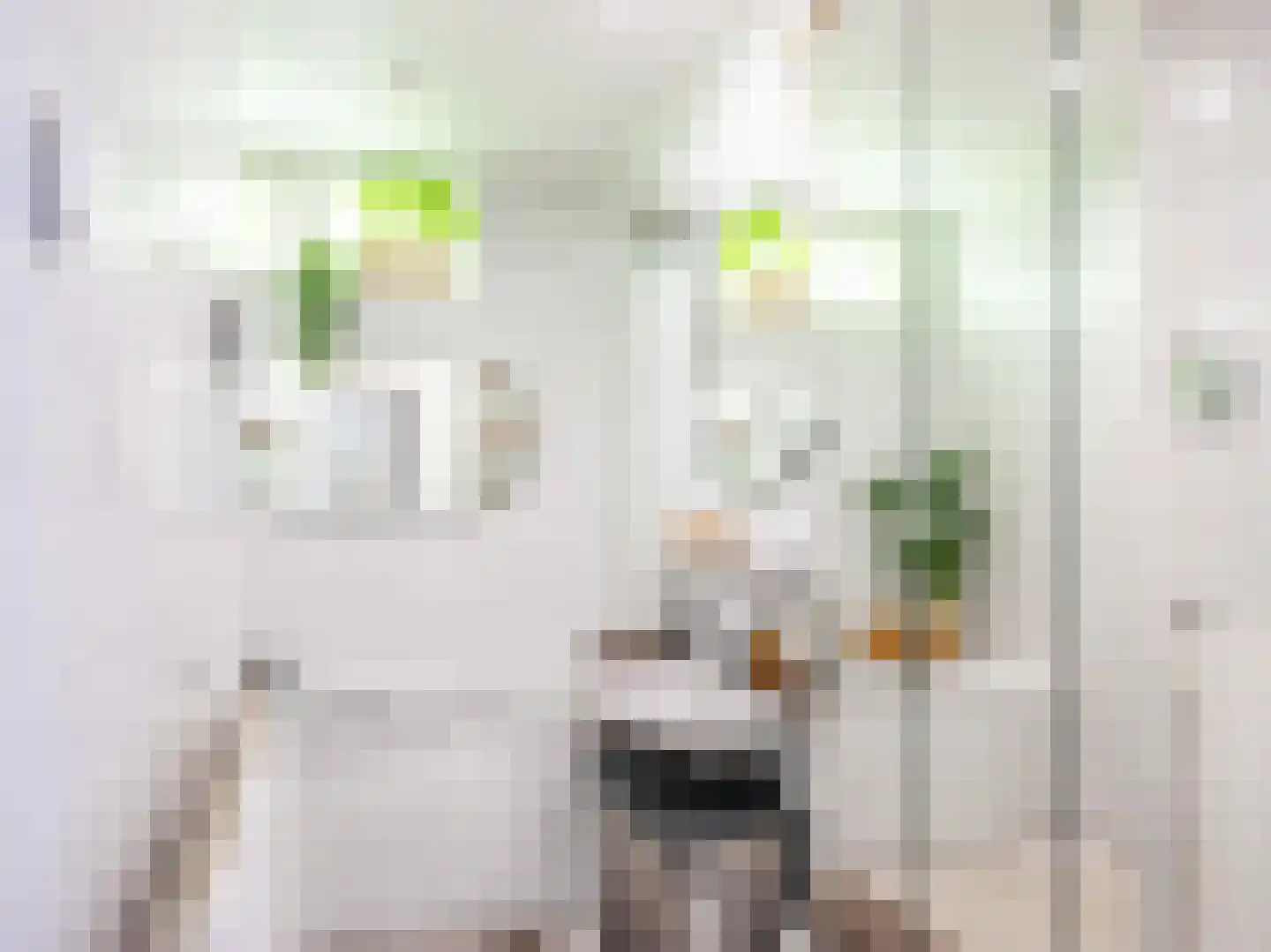 Gerbrandtslaan 15 Schoorl thumbnail 18