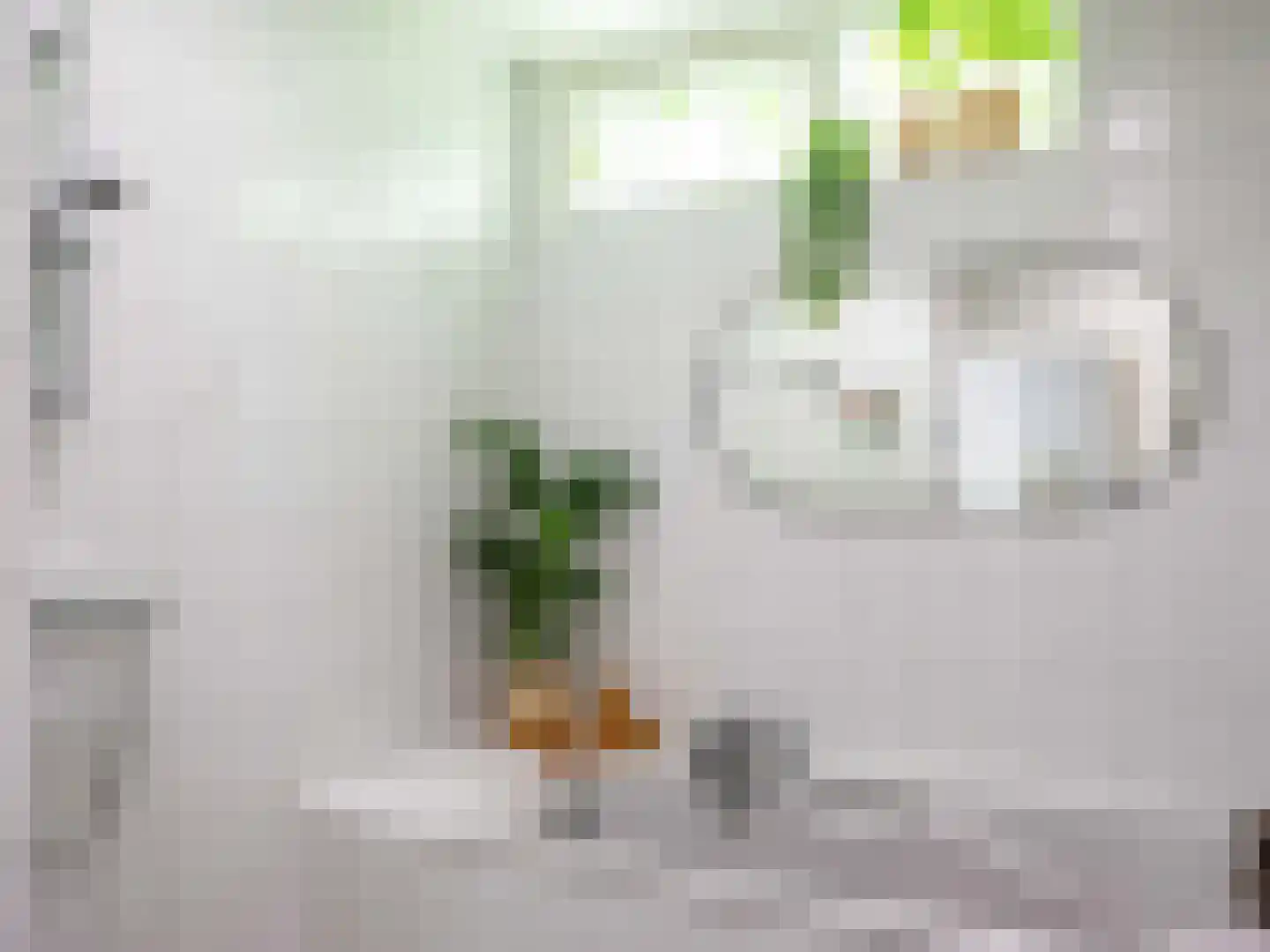 Gerbrandtslaan 15 Schoorl thumbnail 19