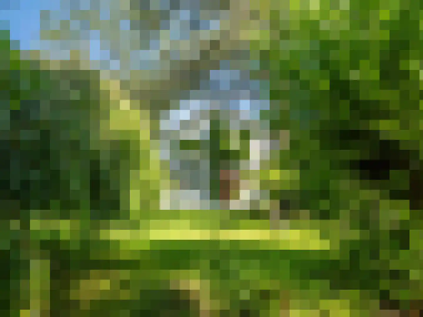 Gerbrandtslaan 15 Schoorl foto 2