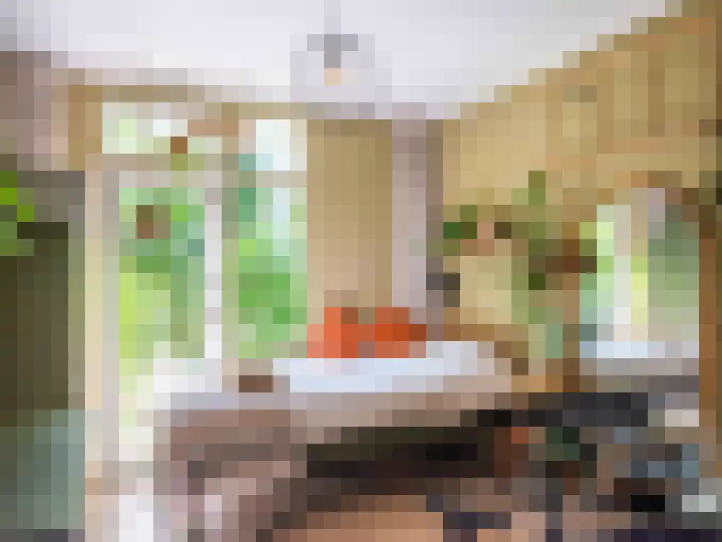 Gerbrandtslaan 15 Schoorl thumbnail 21