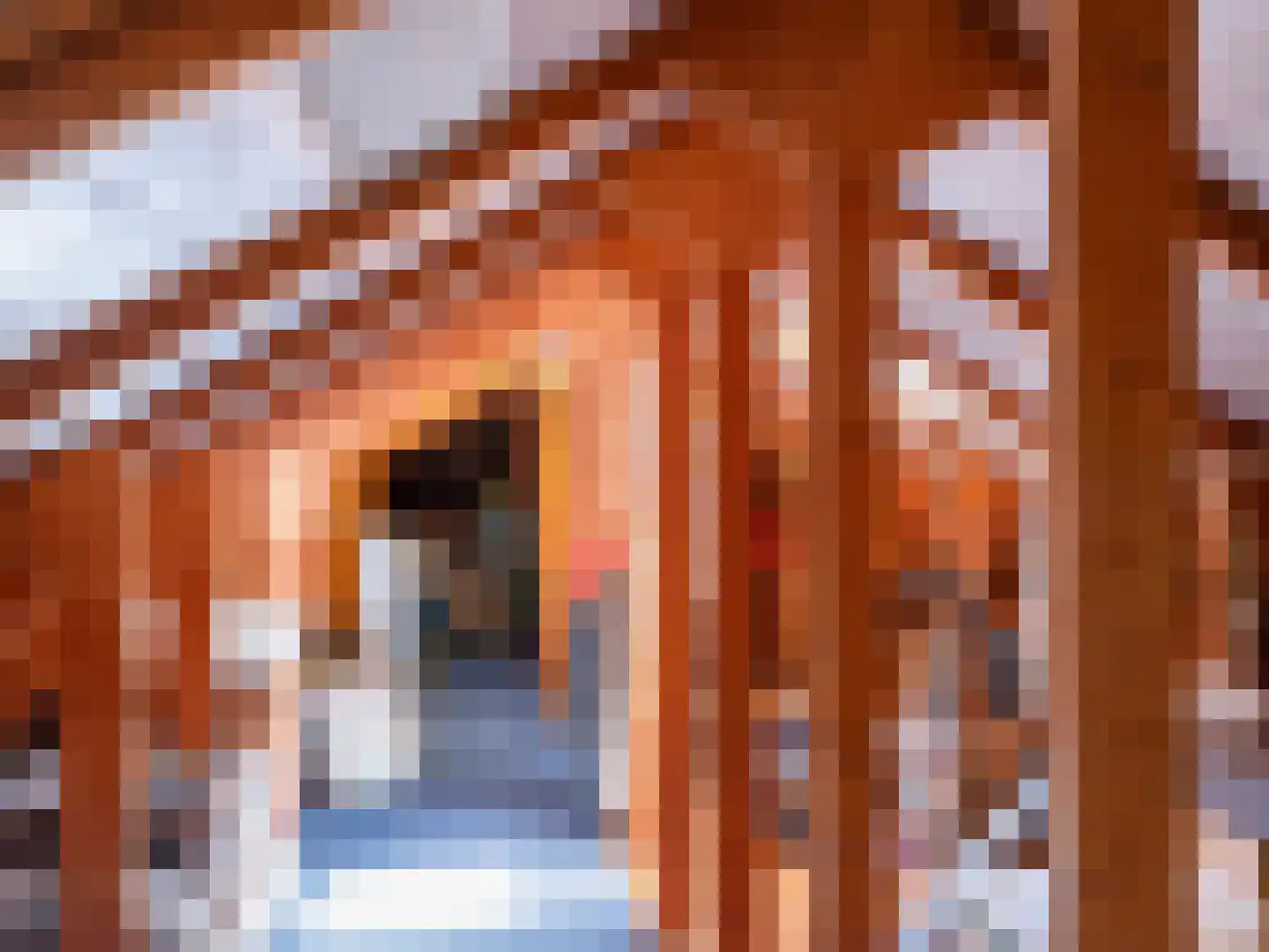Gerbrandtslaan 15 Schoorl thumbnail 22
