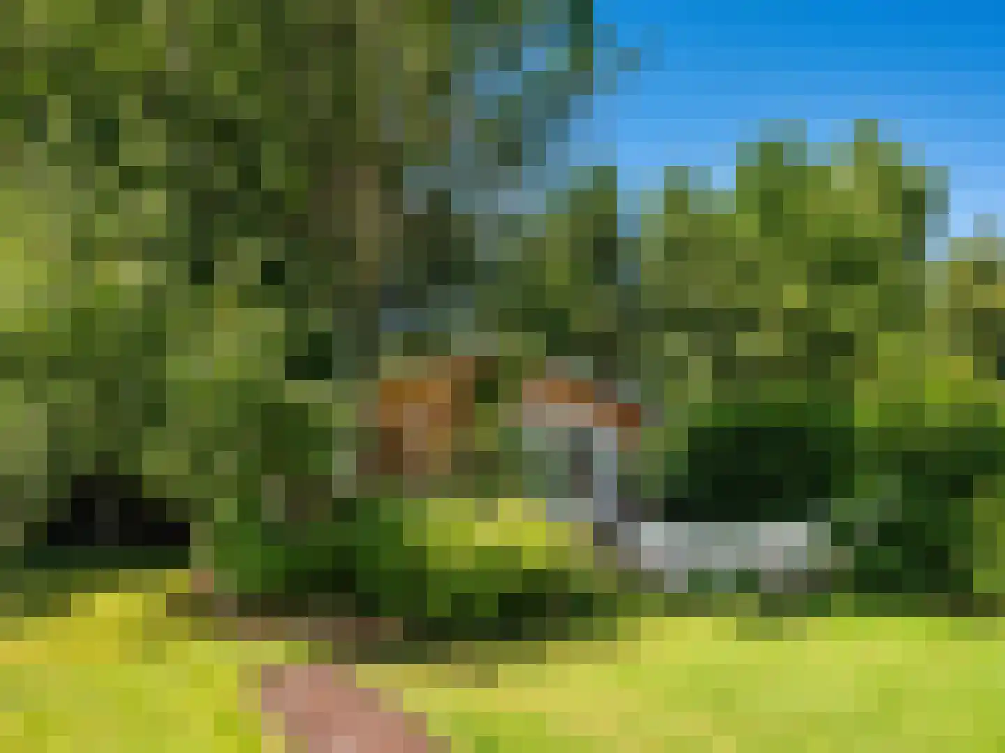 Gerbrandtslaan 15 Schoorl thumbnail 29