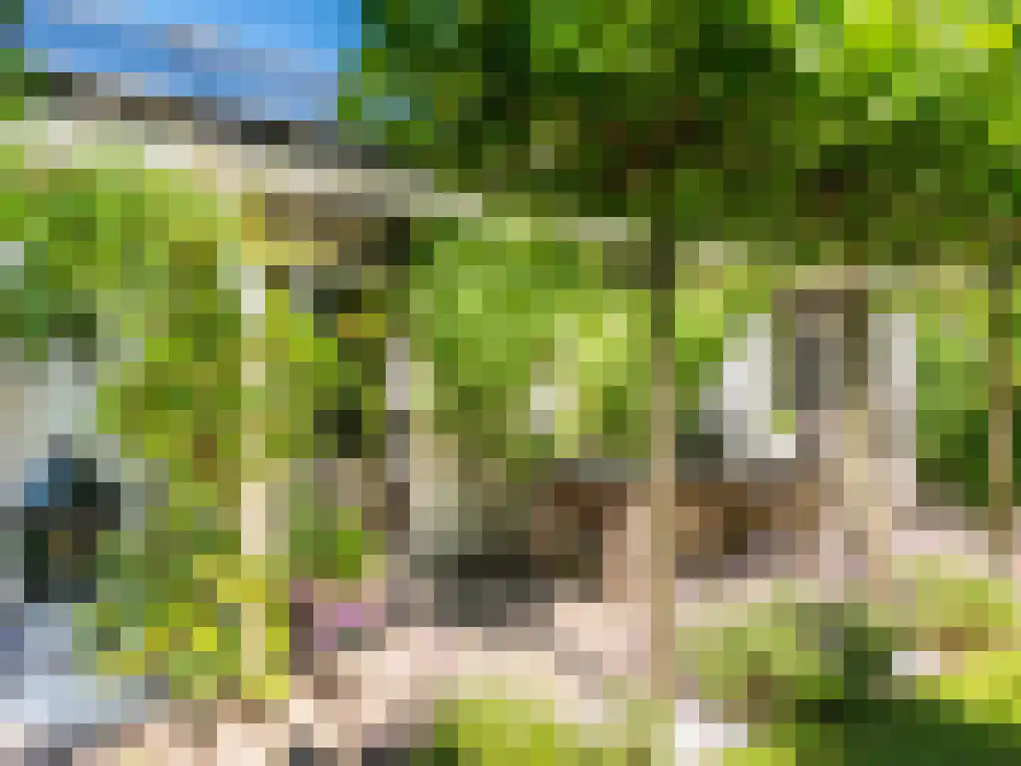 Gerbrandtslaan 15 Schoorl thumbnail 32