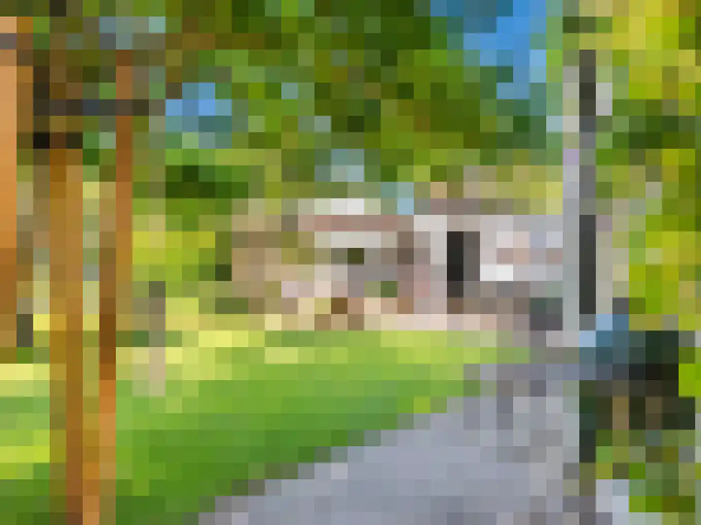 Gerbrandtslaan 15 Schoorl thumbnail 33