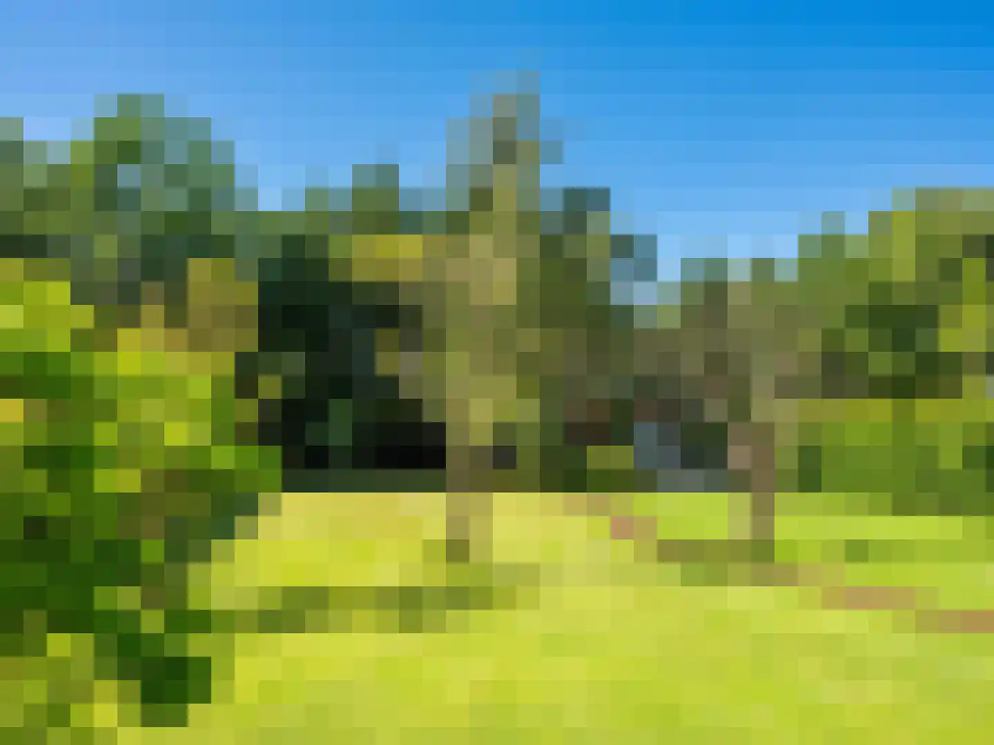 Gerbrandtslaan 15 Schoorl thumbnail 34