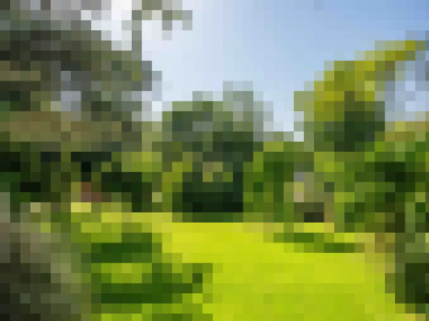 Gerbrandtslaan 15 Schoorl thumbnail 35