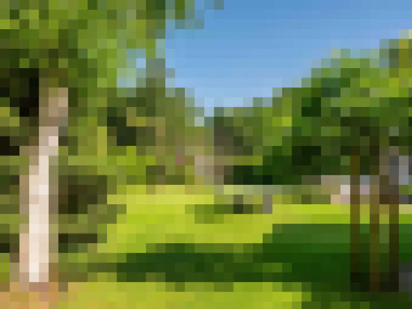 Gerbrandtslaan 15 Schoorl thumbnail 36