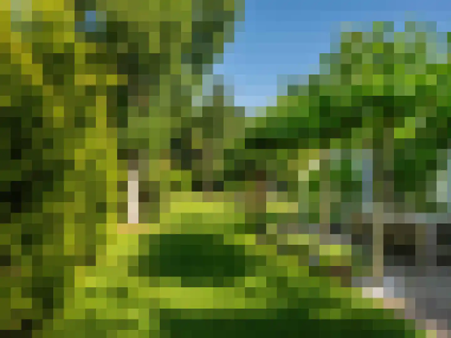 Gerbrandtslaan 15 Schoorl thumbnail 37