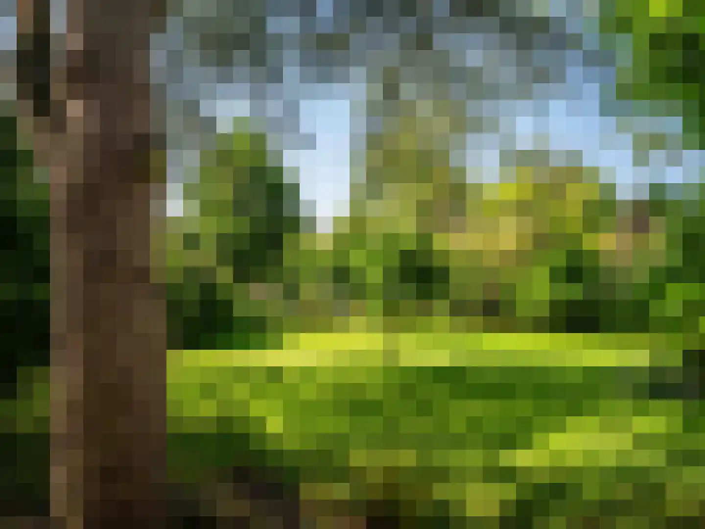 Gerbrandtslaan 15 Schoorl thumbnail 38
