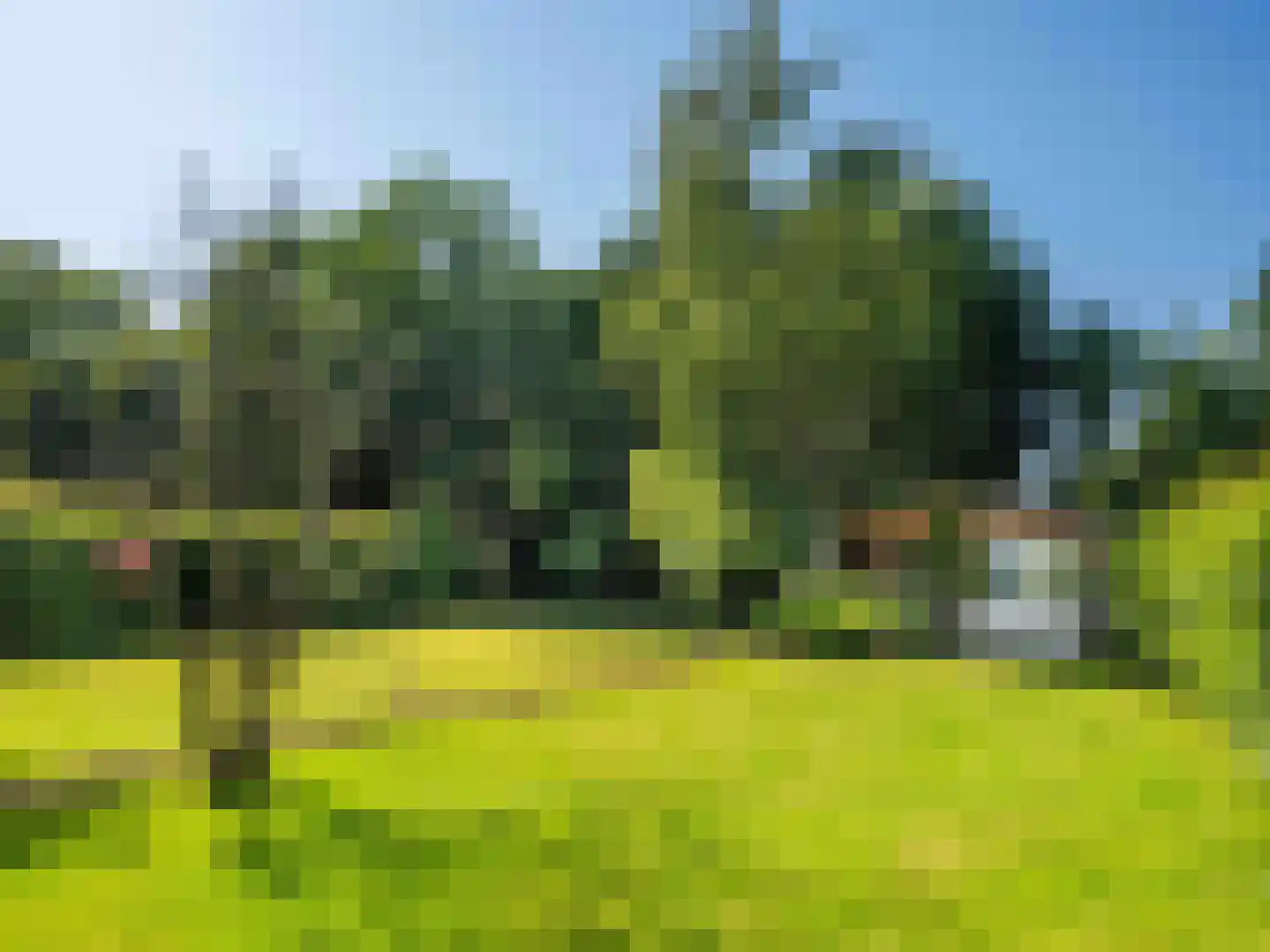 Gerbrandtslaan 15 Schoorl thumbnail 39