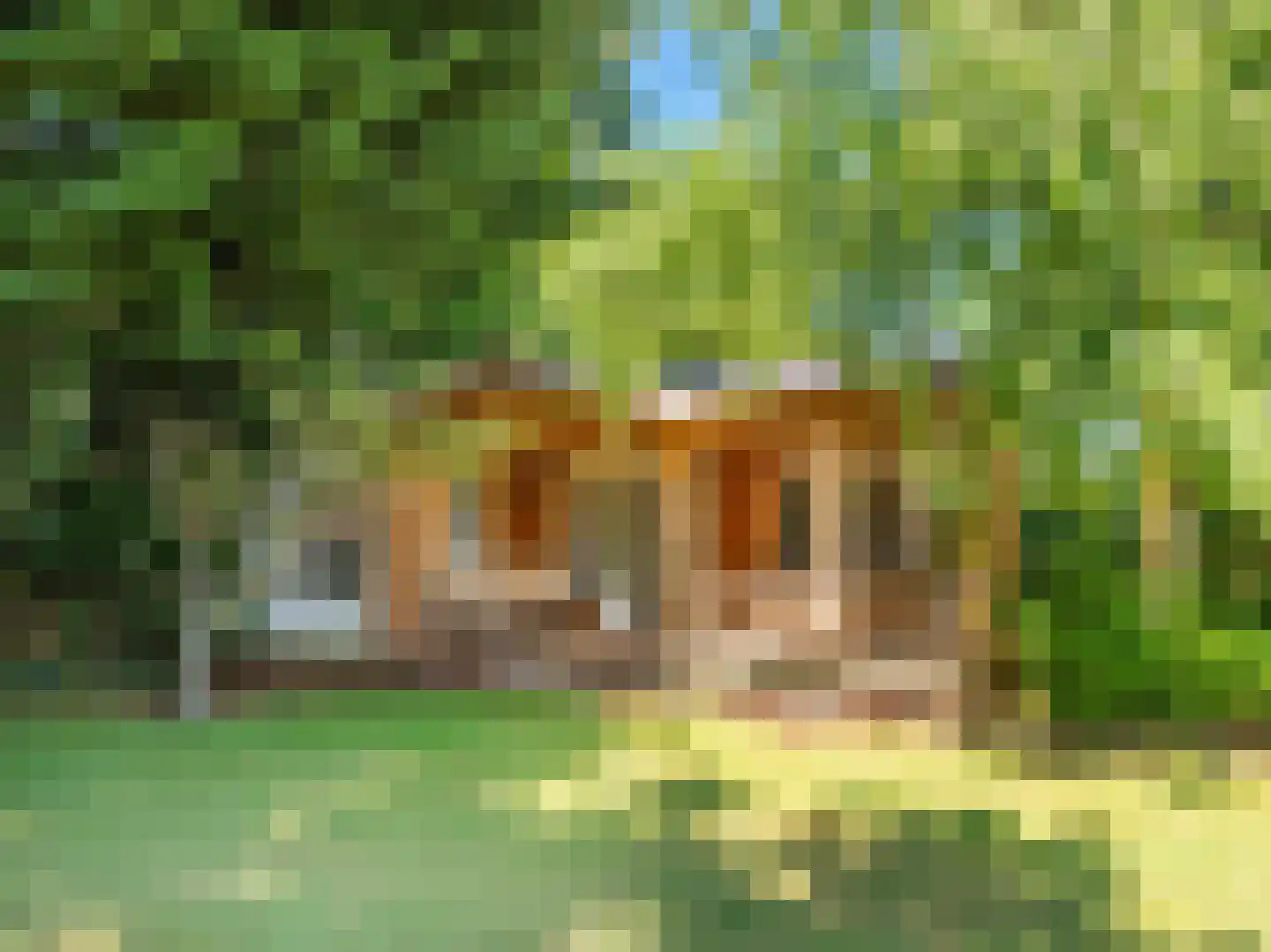Gerbrandtslaan 15 Schoorl thumbnail 4