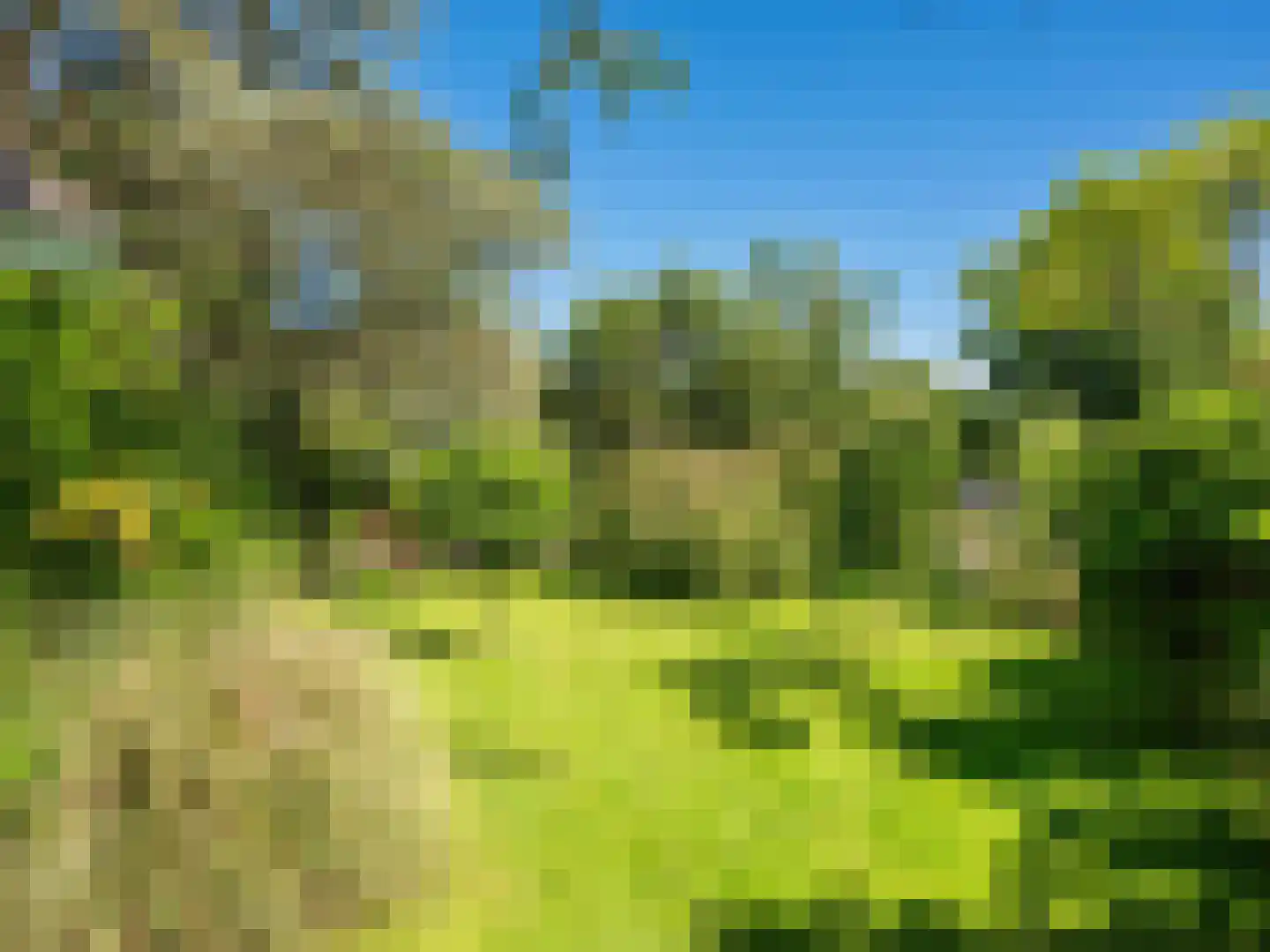 Gerbrandtslaan 15 Schoorl thumbnail 40