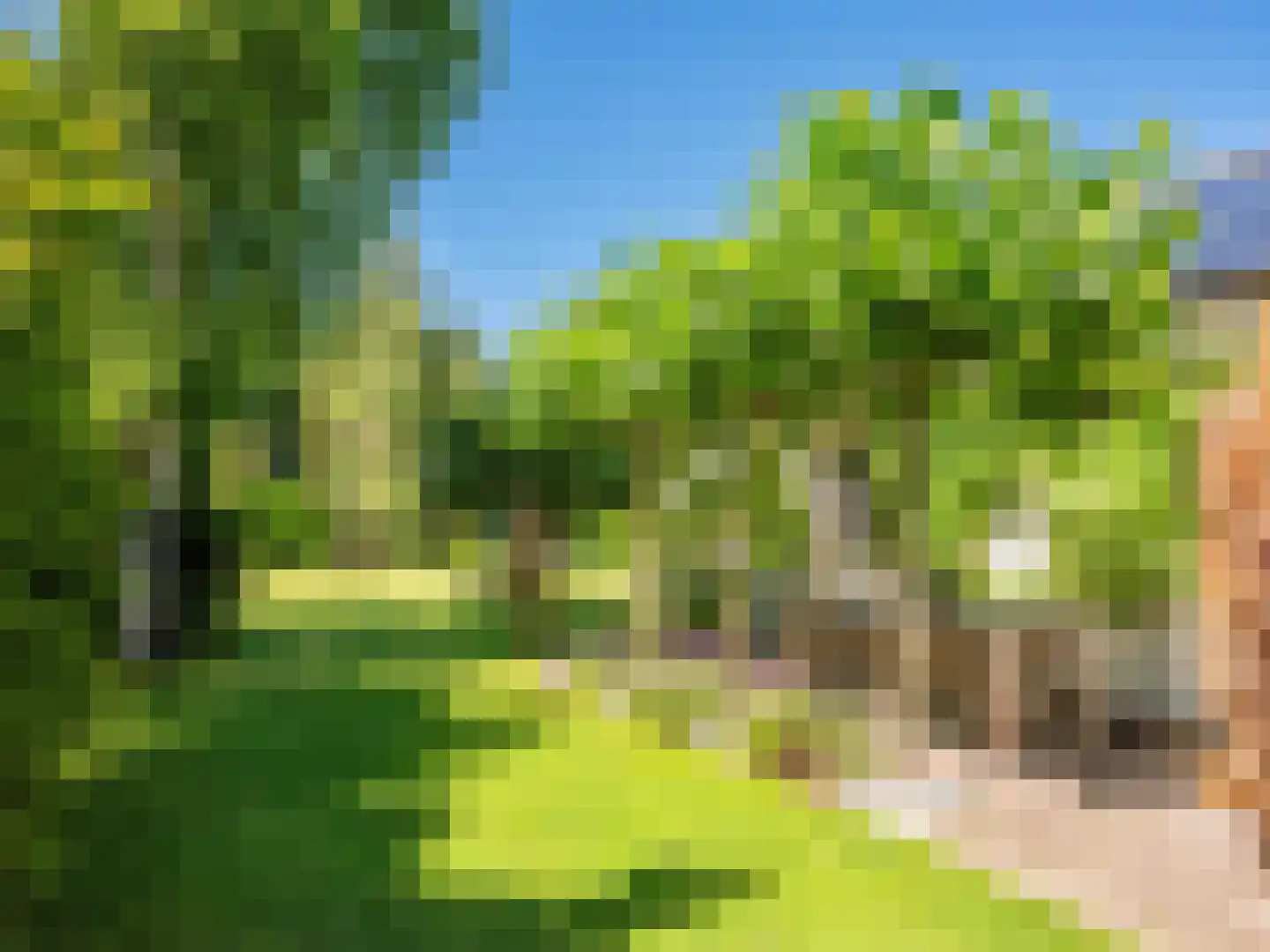 Gerbrandtslaan 15 Schoorl thumbnail 41