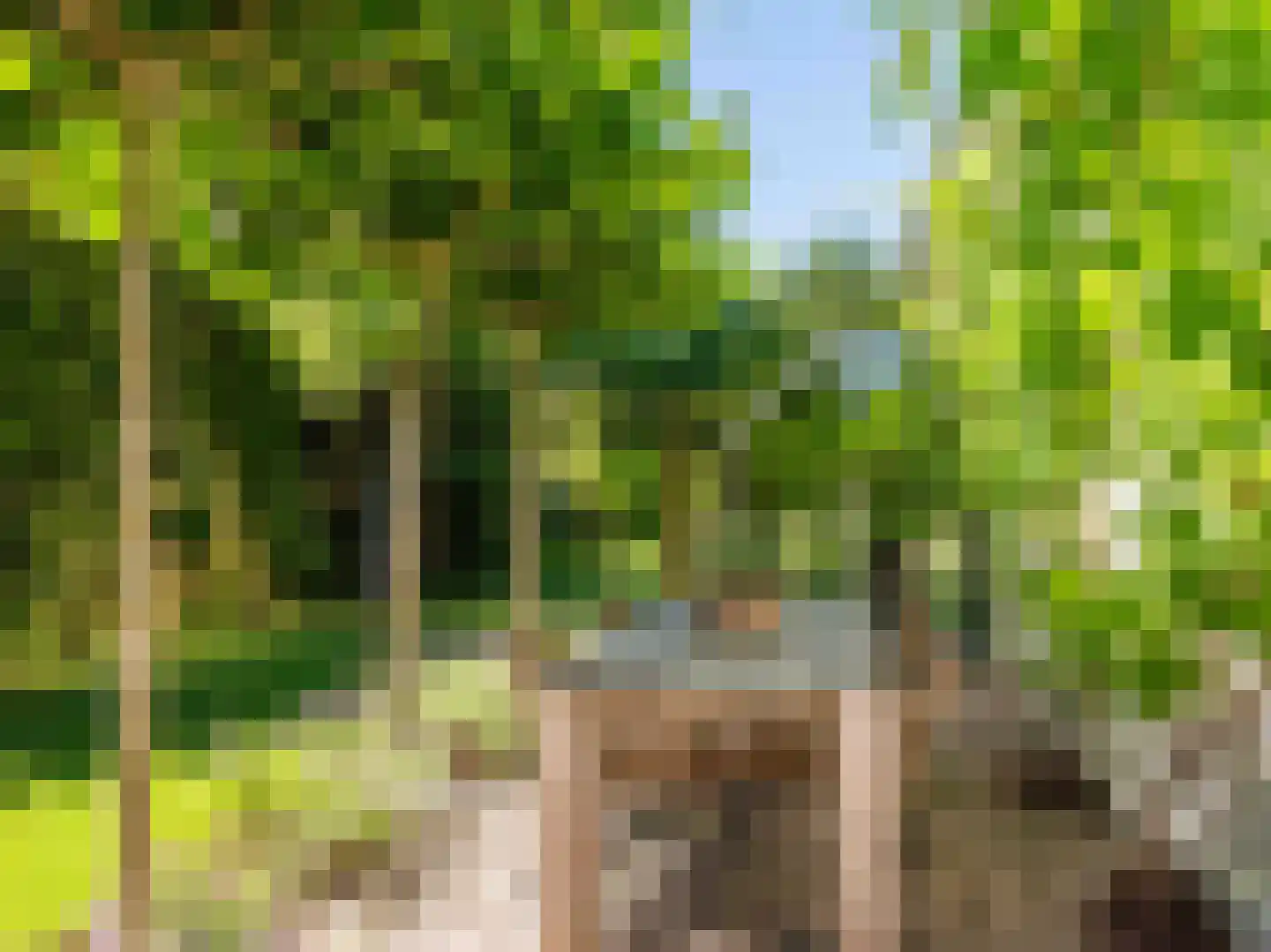 Gerbrandtslaan 15 Schoorl thumbnail 42