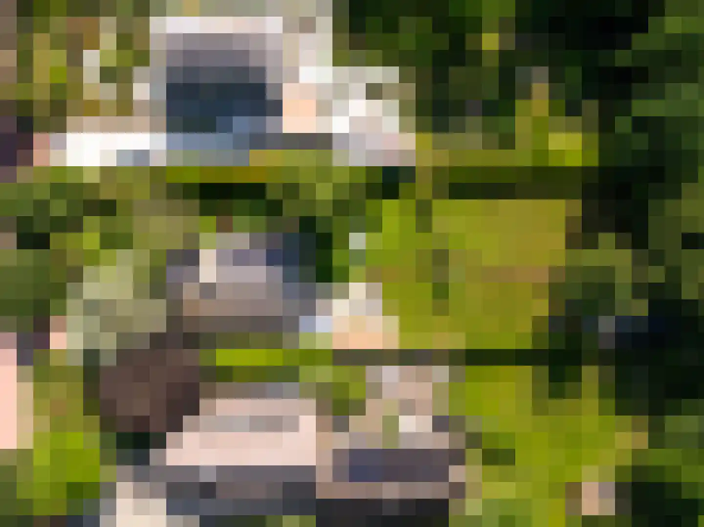 Gerbrandtslaan 15 Schoorl thumbnail 43