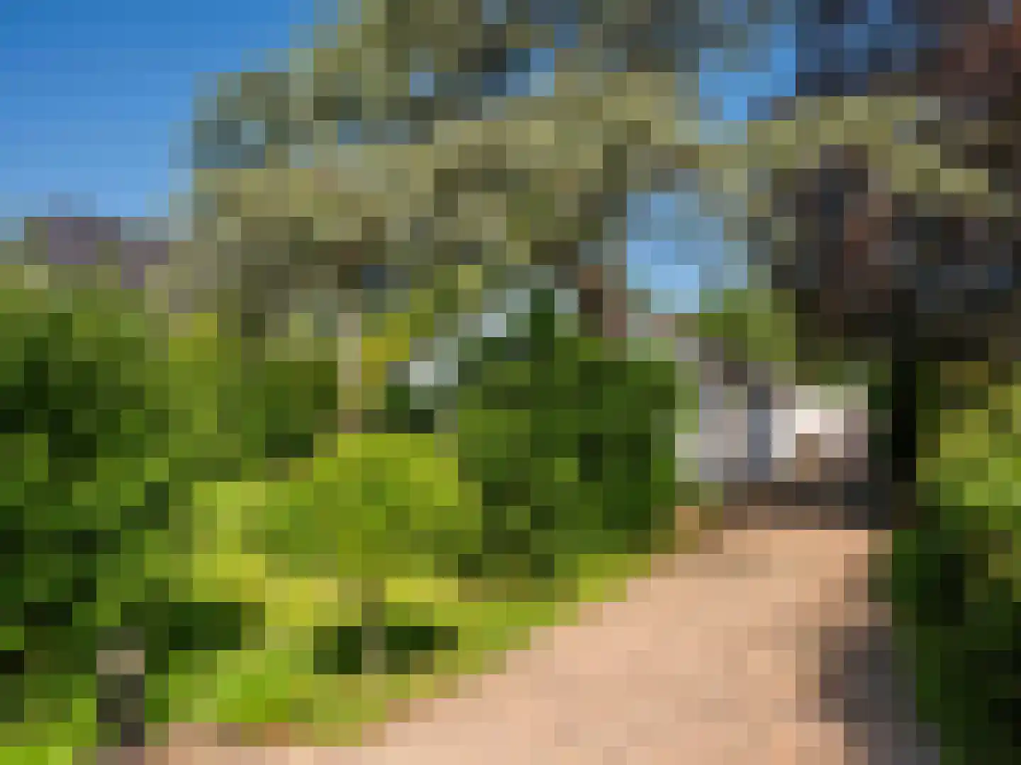 Gerbrandtslaan 15 Schoorl thumbnail 44