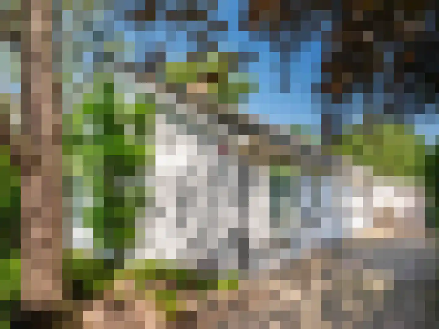 Gerbrandtslaan 15 Schoorl thumbnail 45