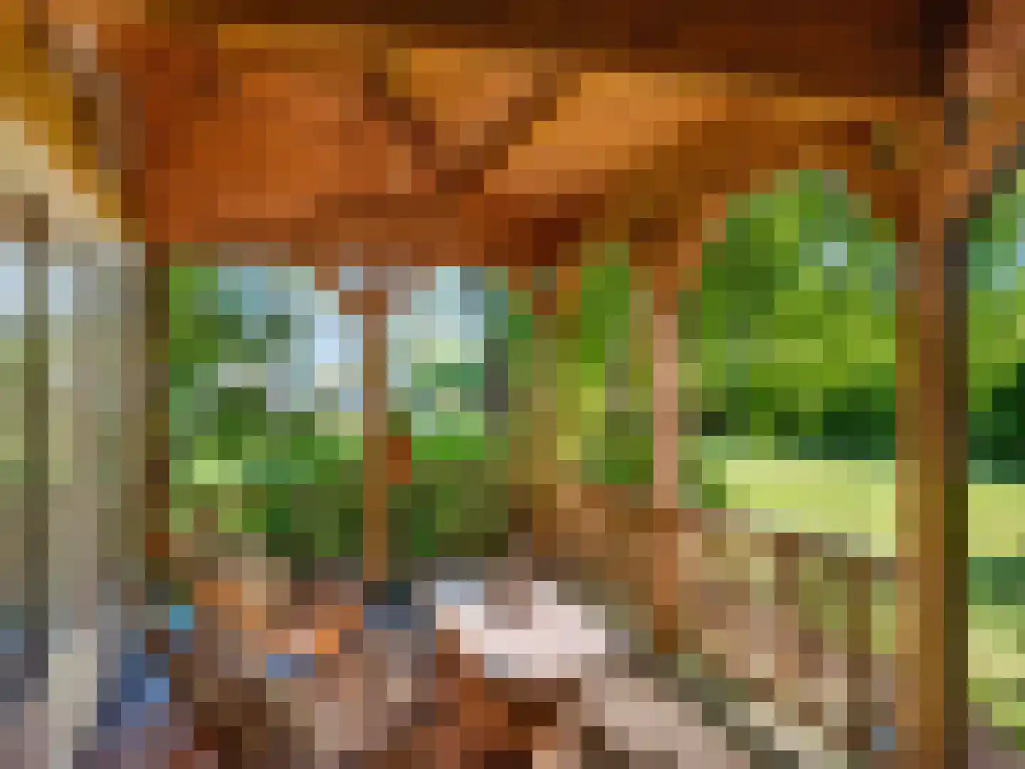 Gerbrandtslaan 15 Schoorl thumbnail 5