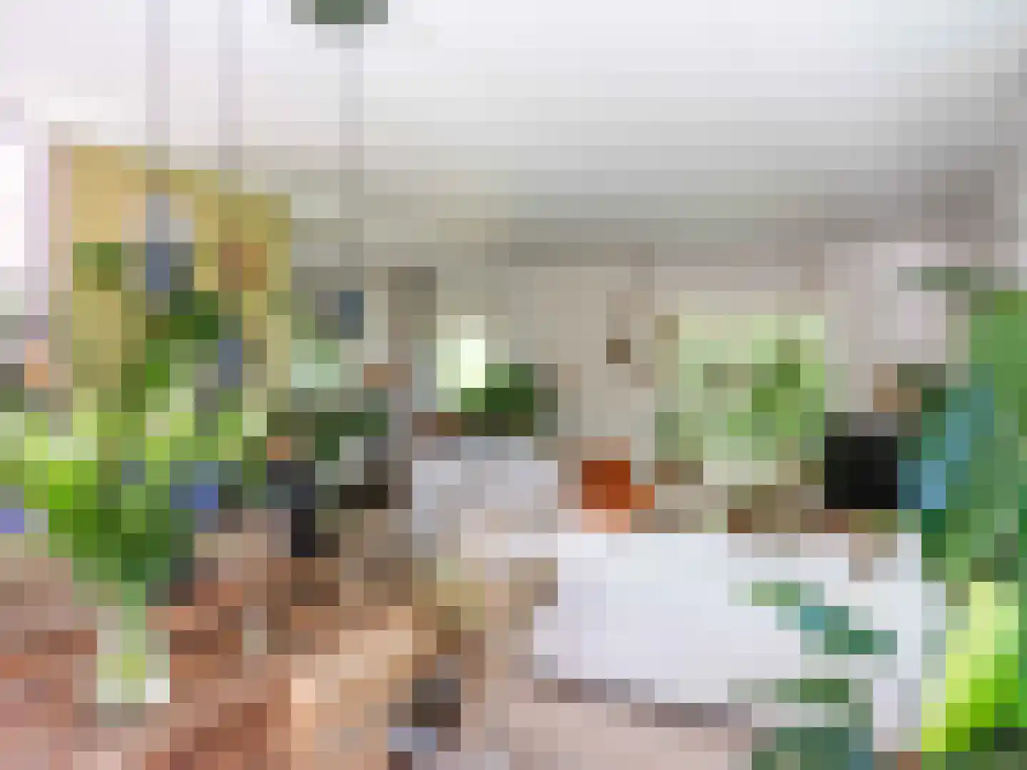 Gerbrandtslaan 15 Schoorl thumbnail 6