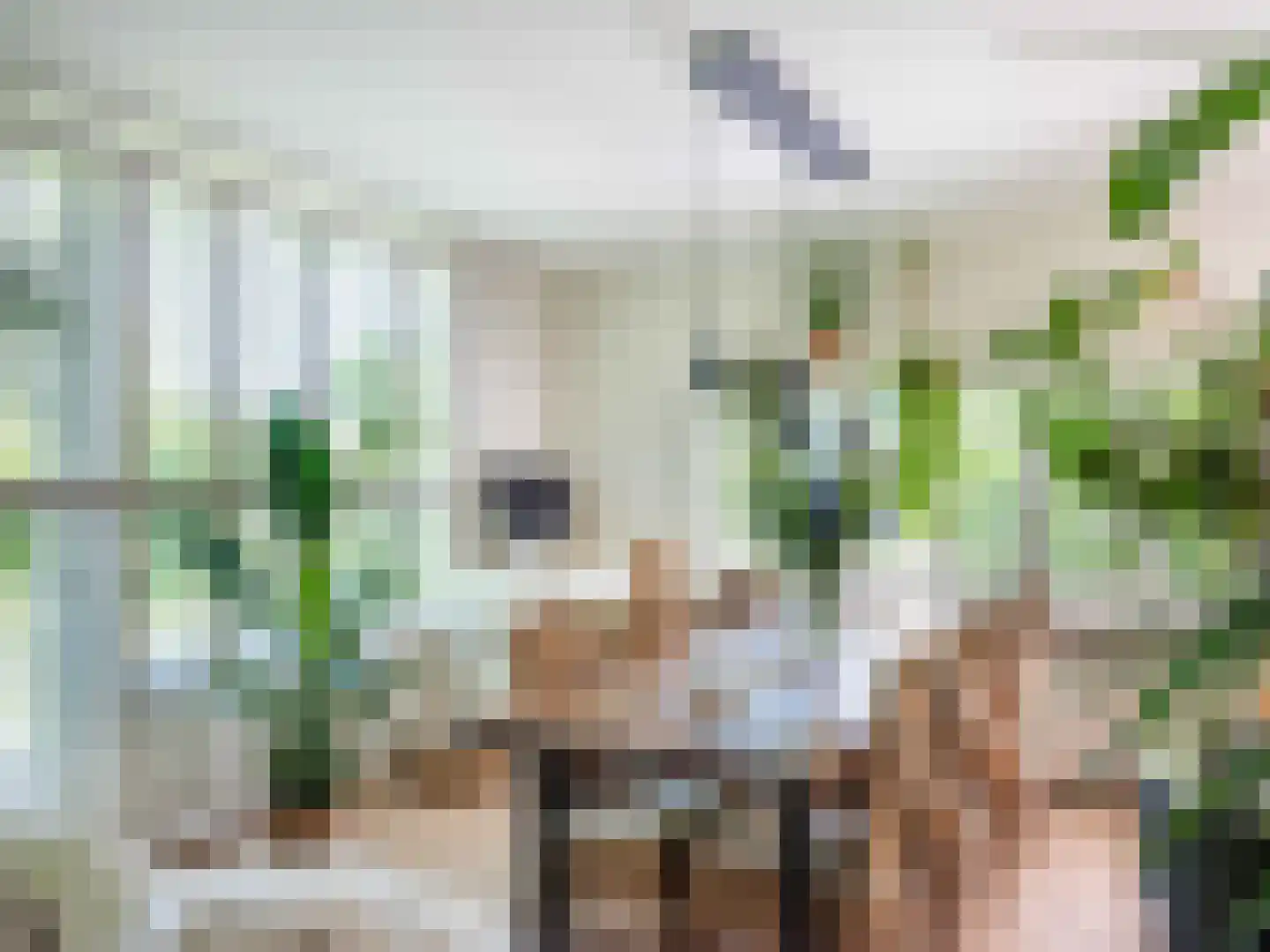 Gerbrandtslaan 15 Schoorl thumbnail 8