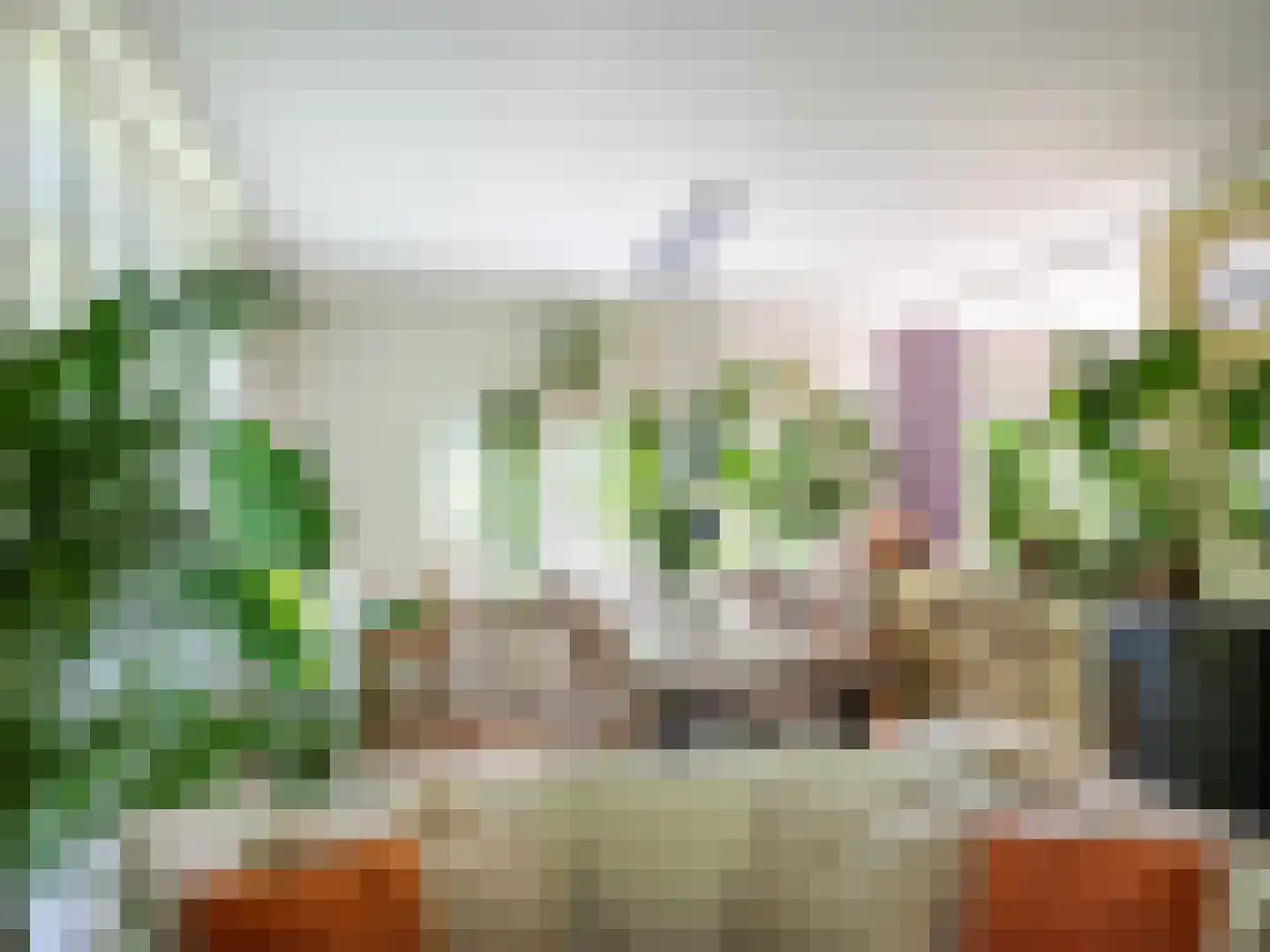 Gerbrandtslaan 15 Schoorl thumbnail 9