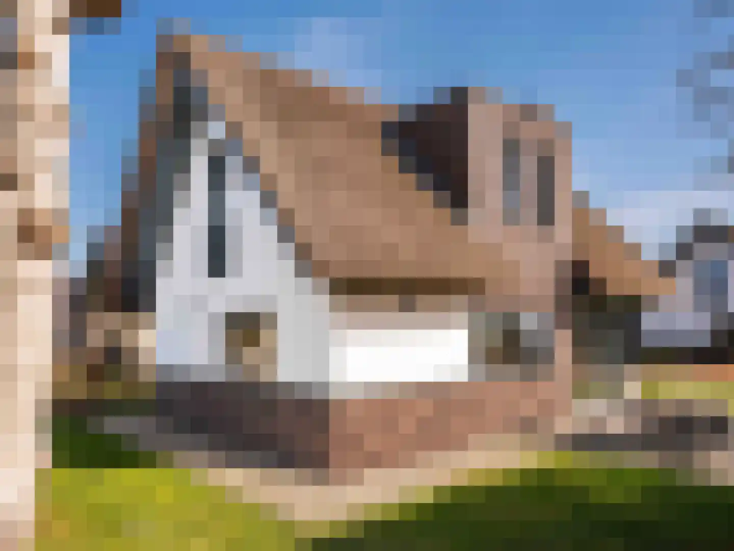 Gerbrandtslaan 18 a 25 Schoorl thumbnail 24
