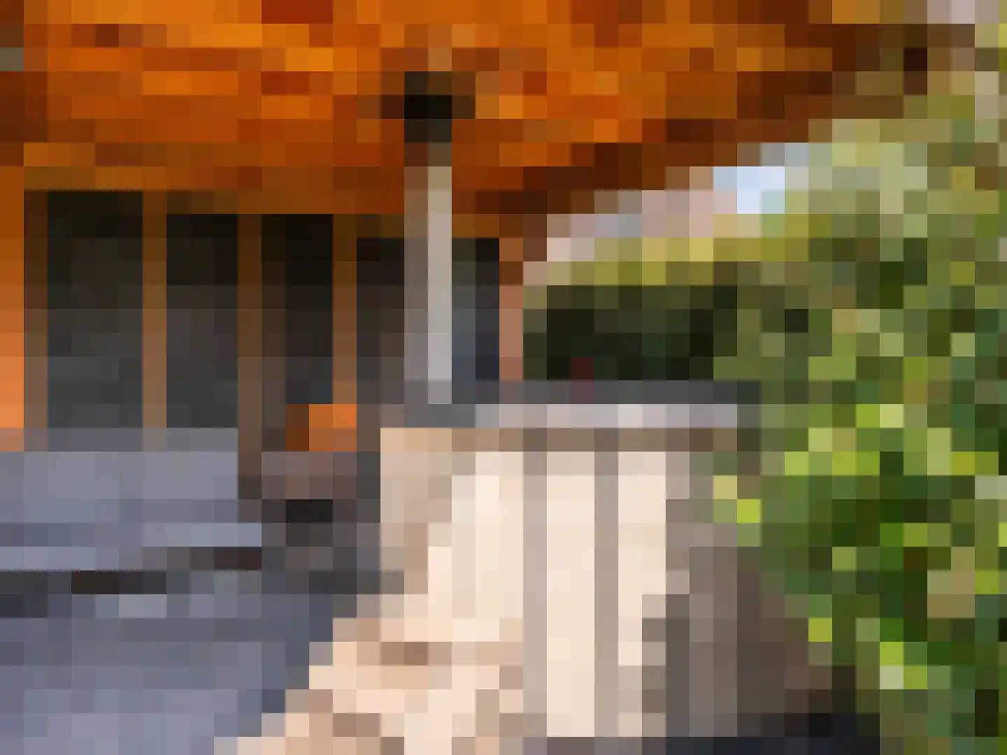 Gerbrandtslaan 18 a 29 Schoorl thumbnail 4