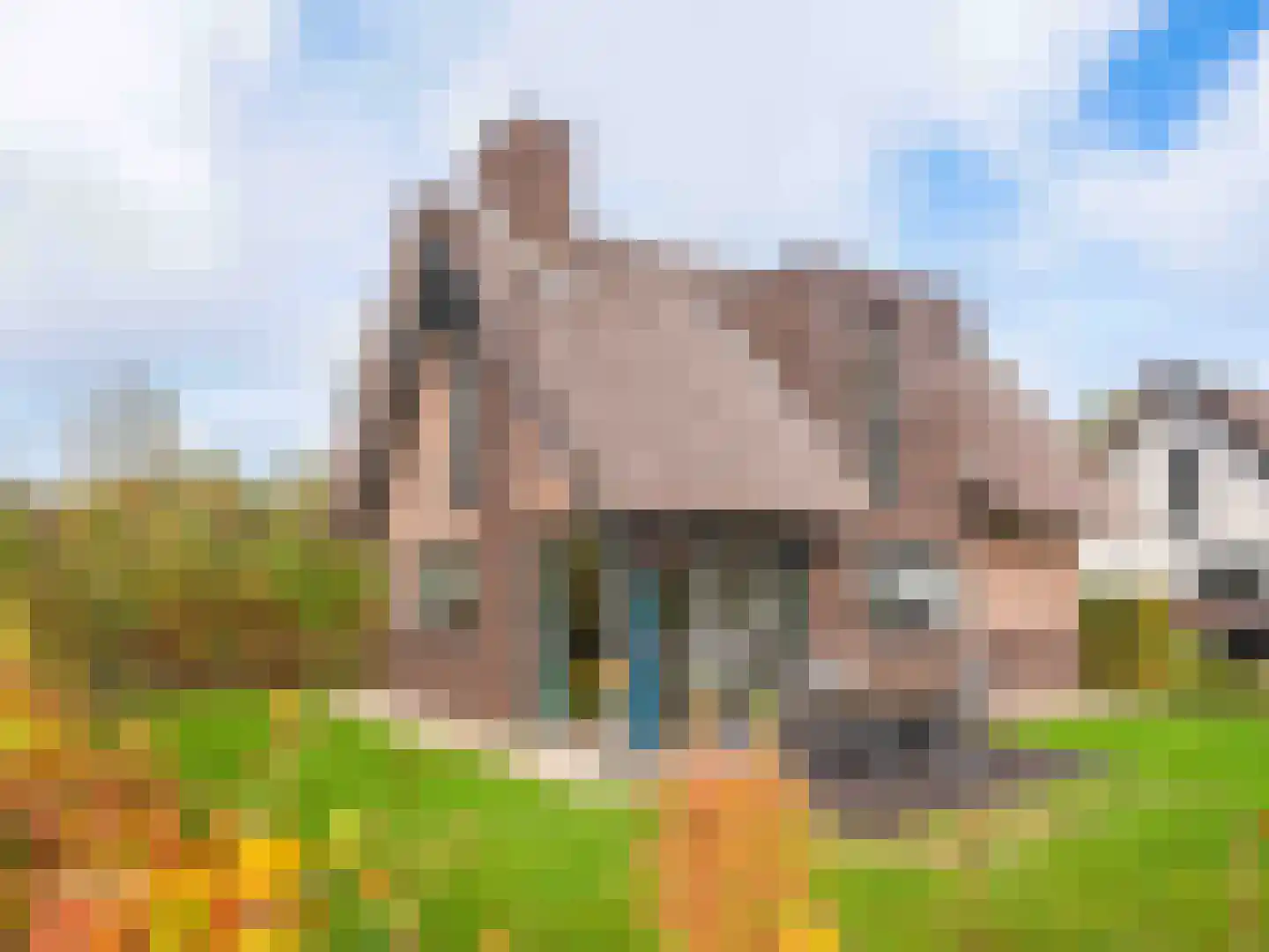 Gerbrandtslaan 18 a 8 Schoorl thumbnail 25