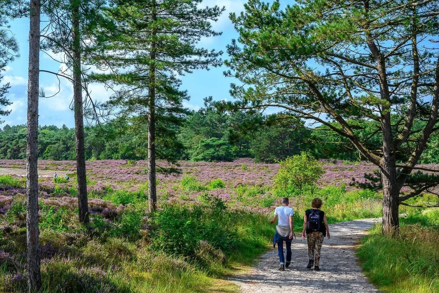 Gerbrandtslaan 31 G004 Schoorl thumbnail 27