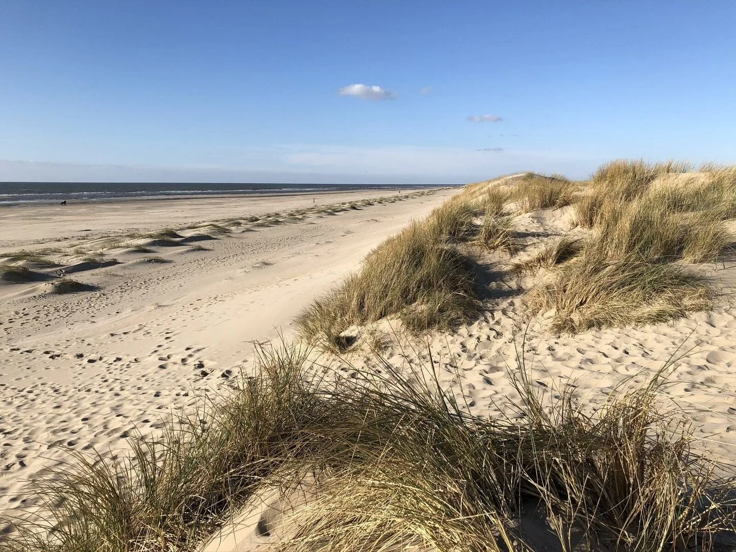 Gerbrandtslaan 31 G004 Schoorl thumbnail 29