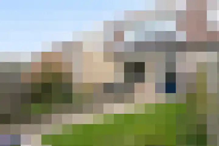 Gerbrandyhof 28 's-Hertogenbosch thumbnail 19