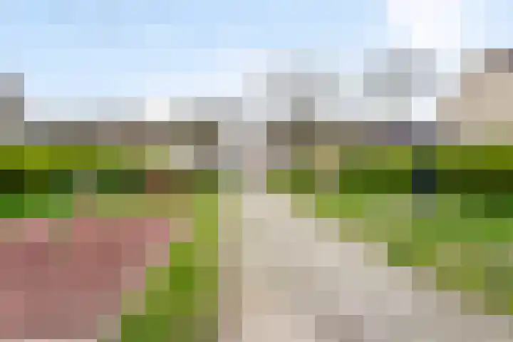 Gerbrandyhof 28 's-Hertogenbosch thumbnail 20