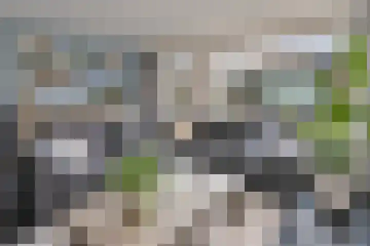 Gerbrandyhof 28 's-Hertogenbosch thumbnail 5