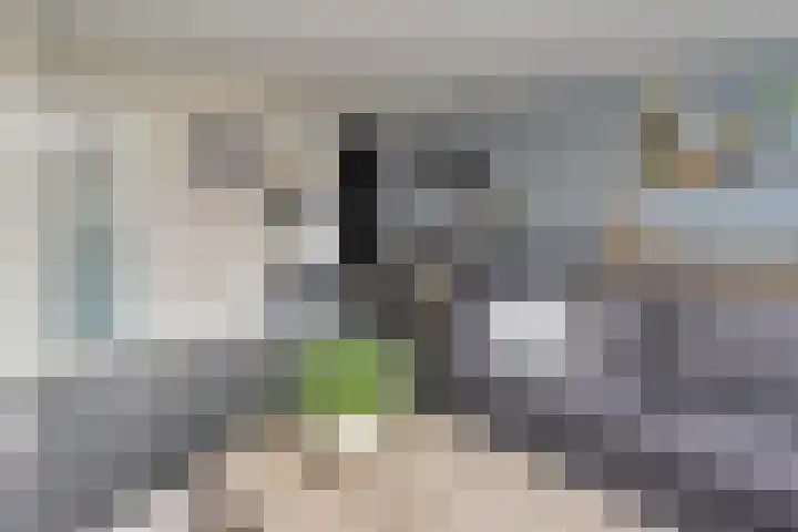 Gerbrandyhof 28 's-Hertogenbosch thumbnail 6